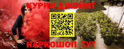прущие грибы Новокубанск