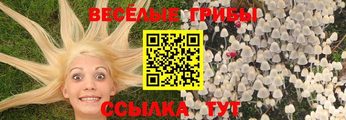 Мефедрон   ГАШИШ  Шелехов  Вход с VPN  A PVP СОЛЬ   Сколько стоит  Канабис 