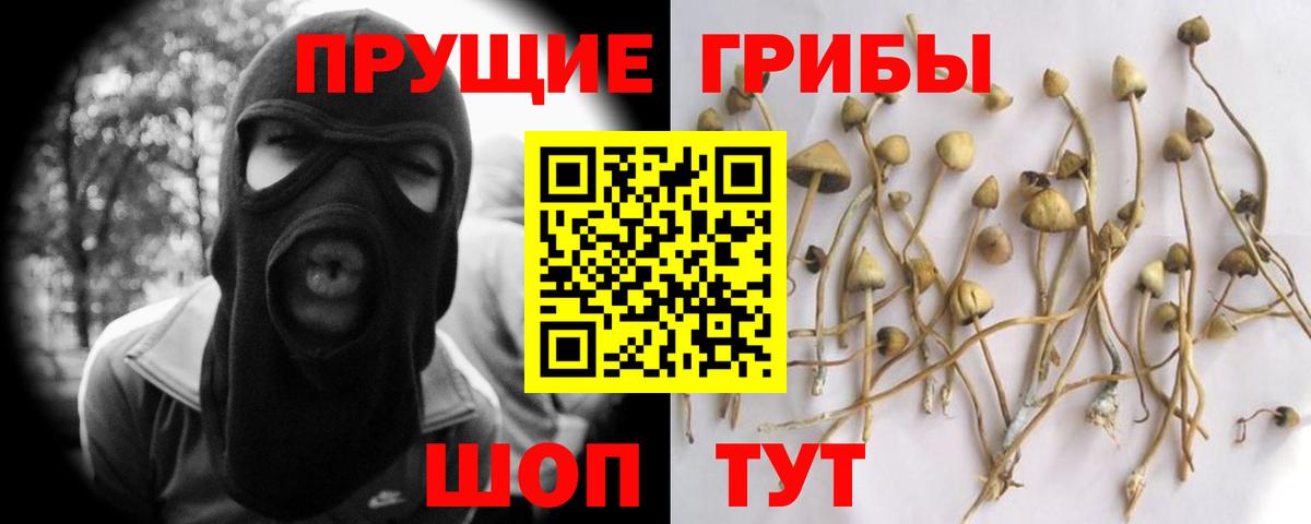 Шелехов  Галлюциногенные грибы GOLDEN TEACHER  Вход с VPN 